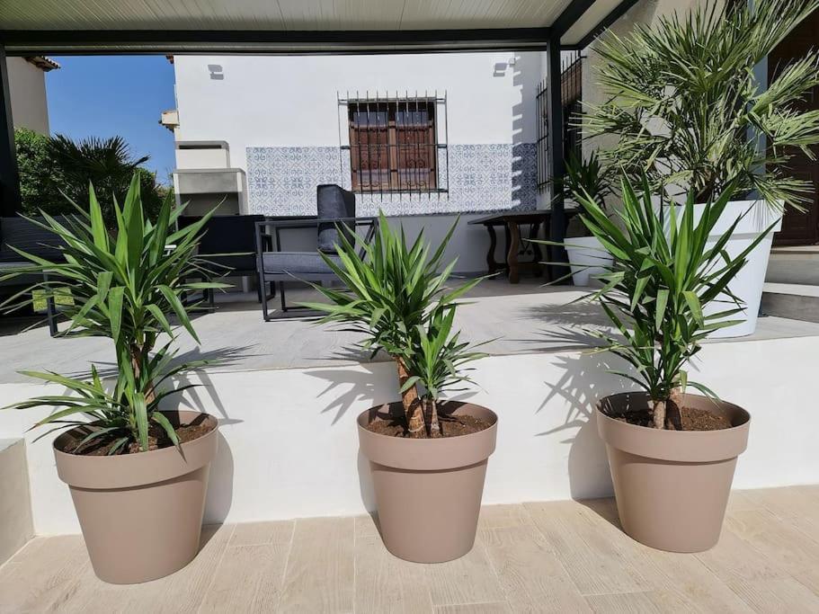 אוריהואלה Villa On The Beach Playa Flamenca מראה חיצוני תמונה